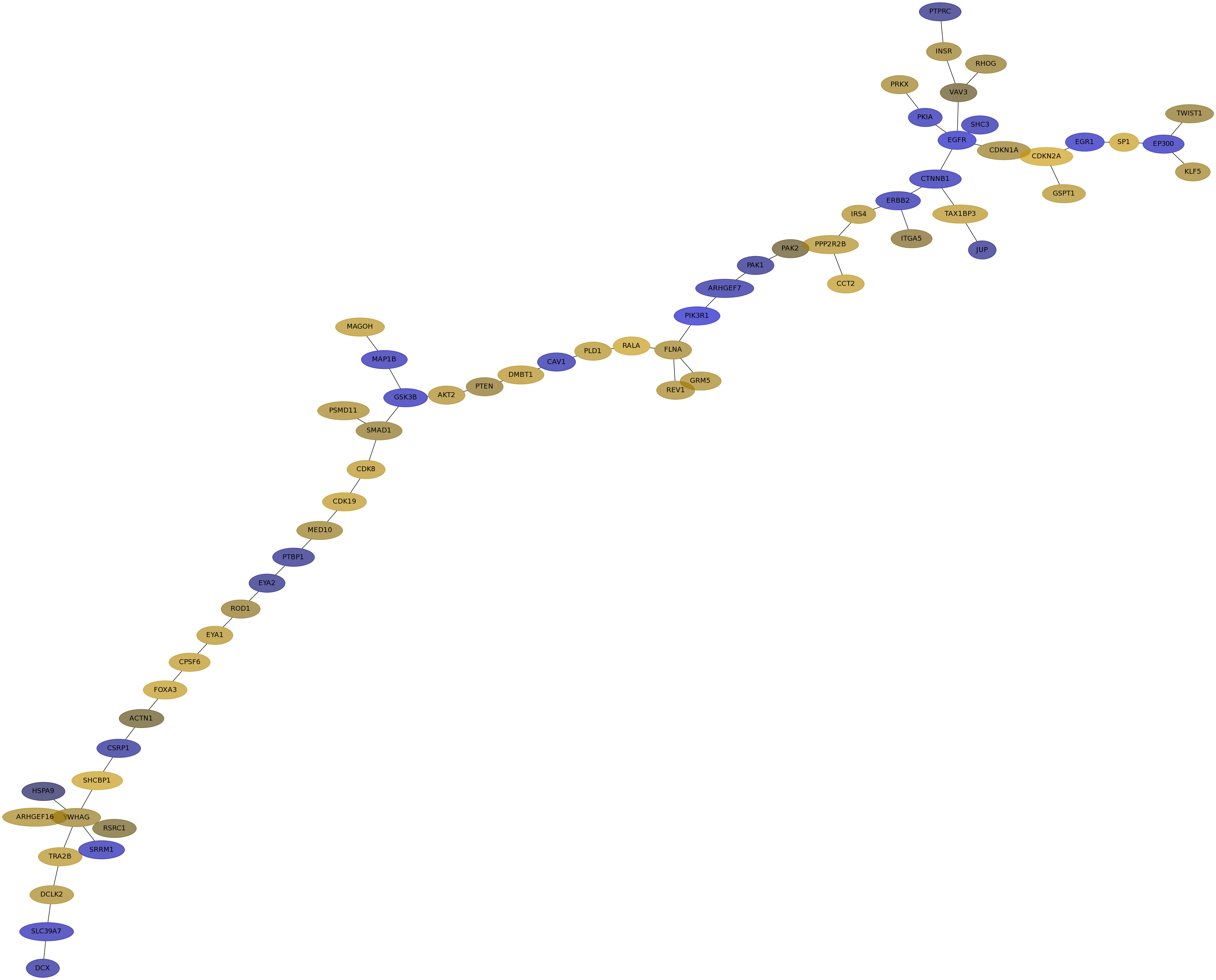 IPC