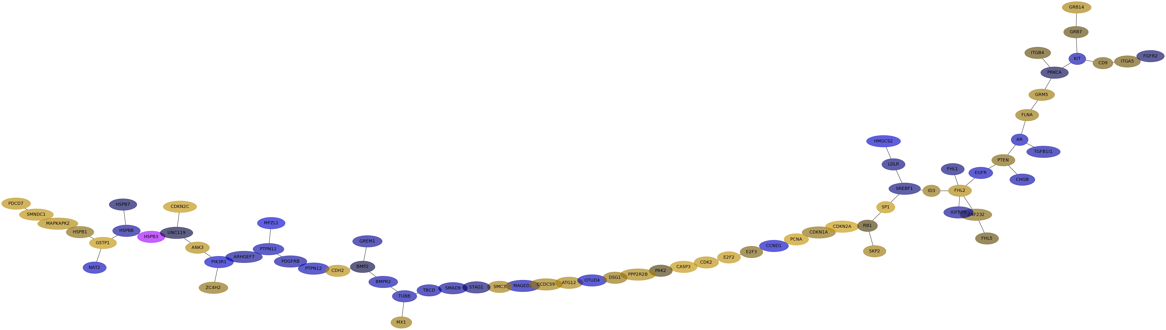 IPC