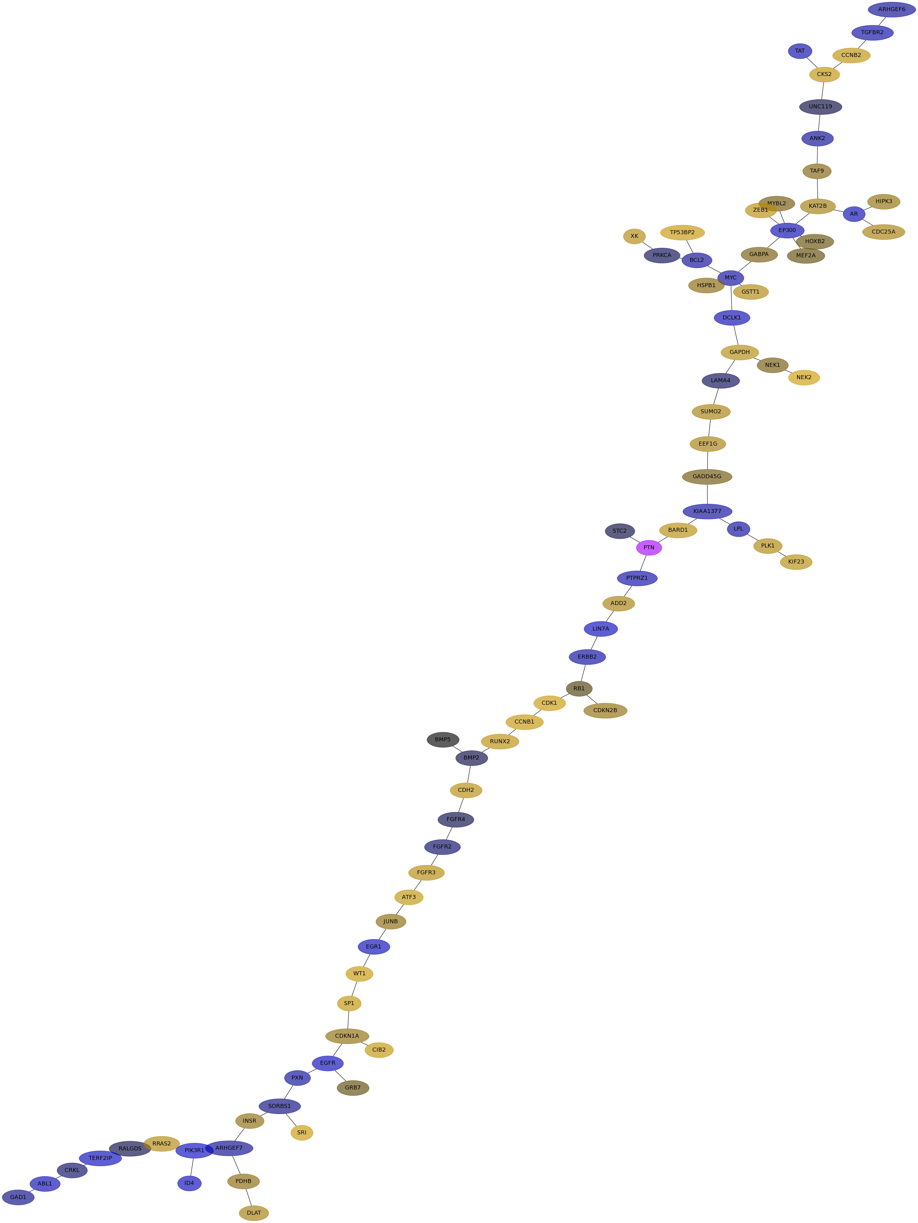 IPC