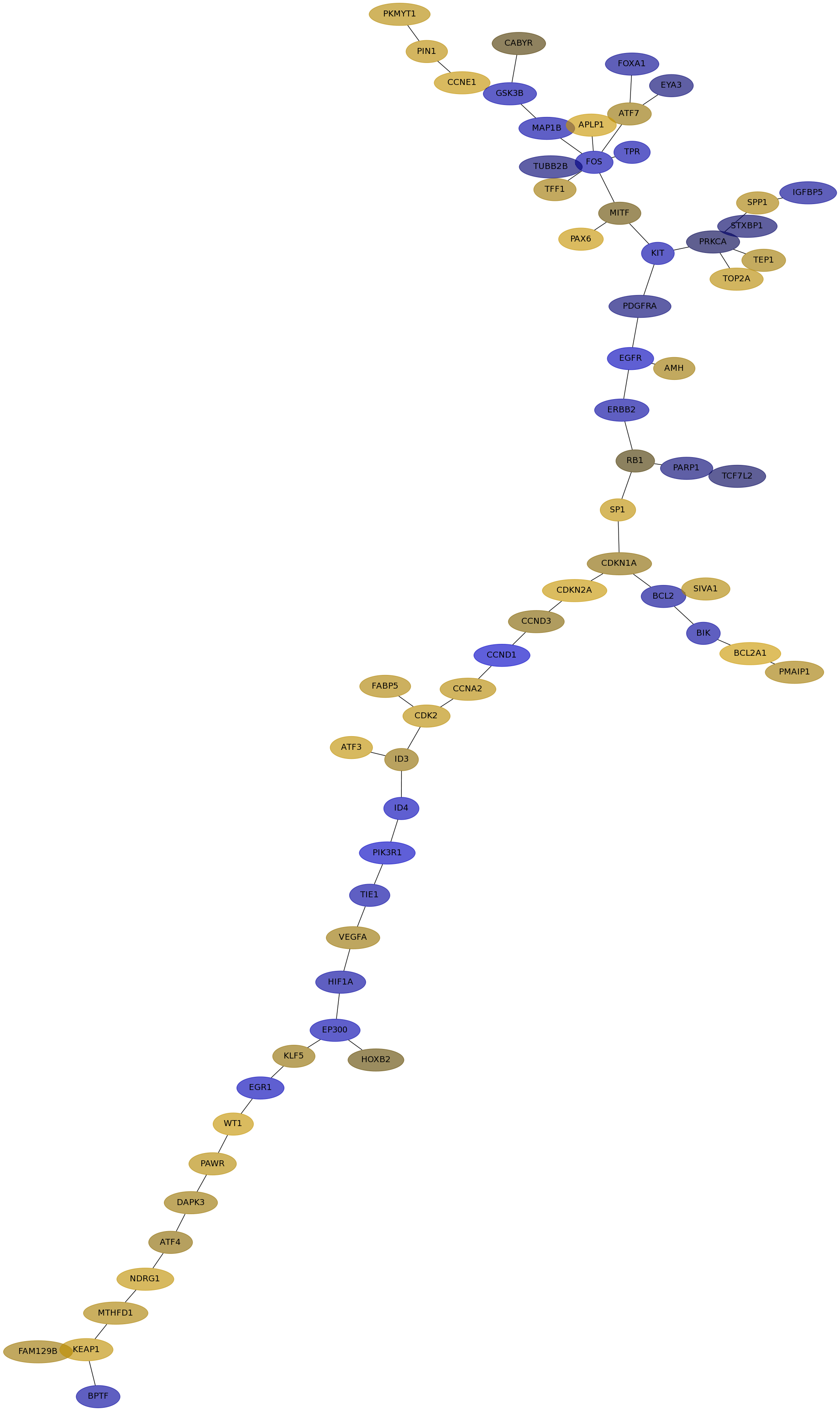 IPC