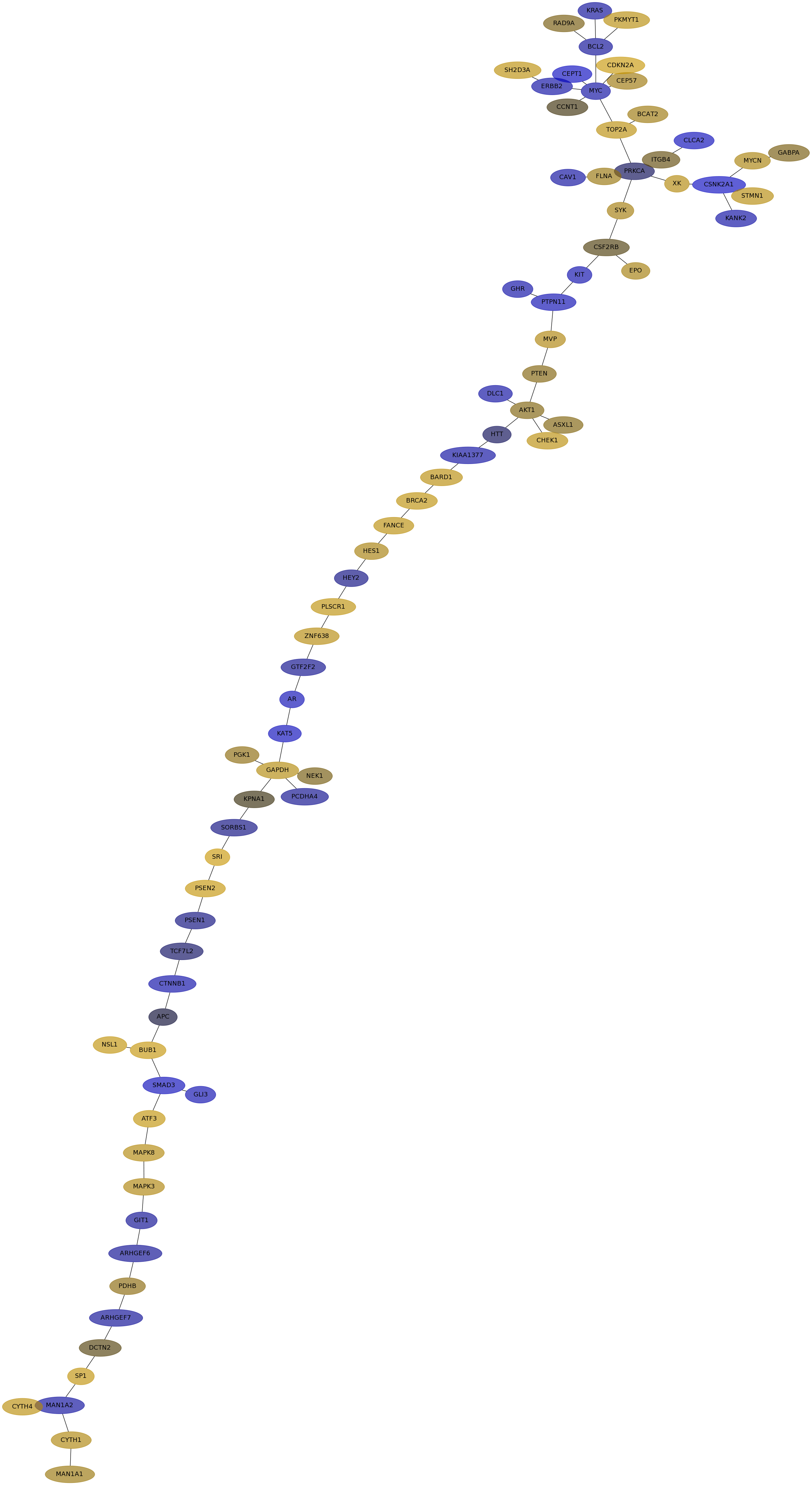 IPC