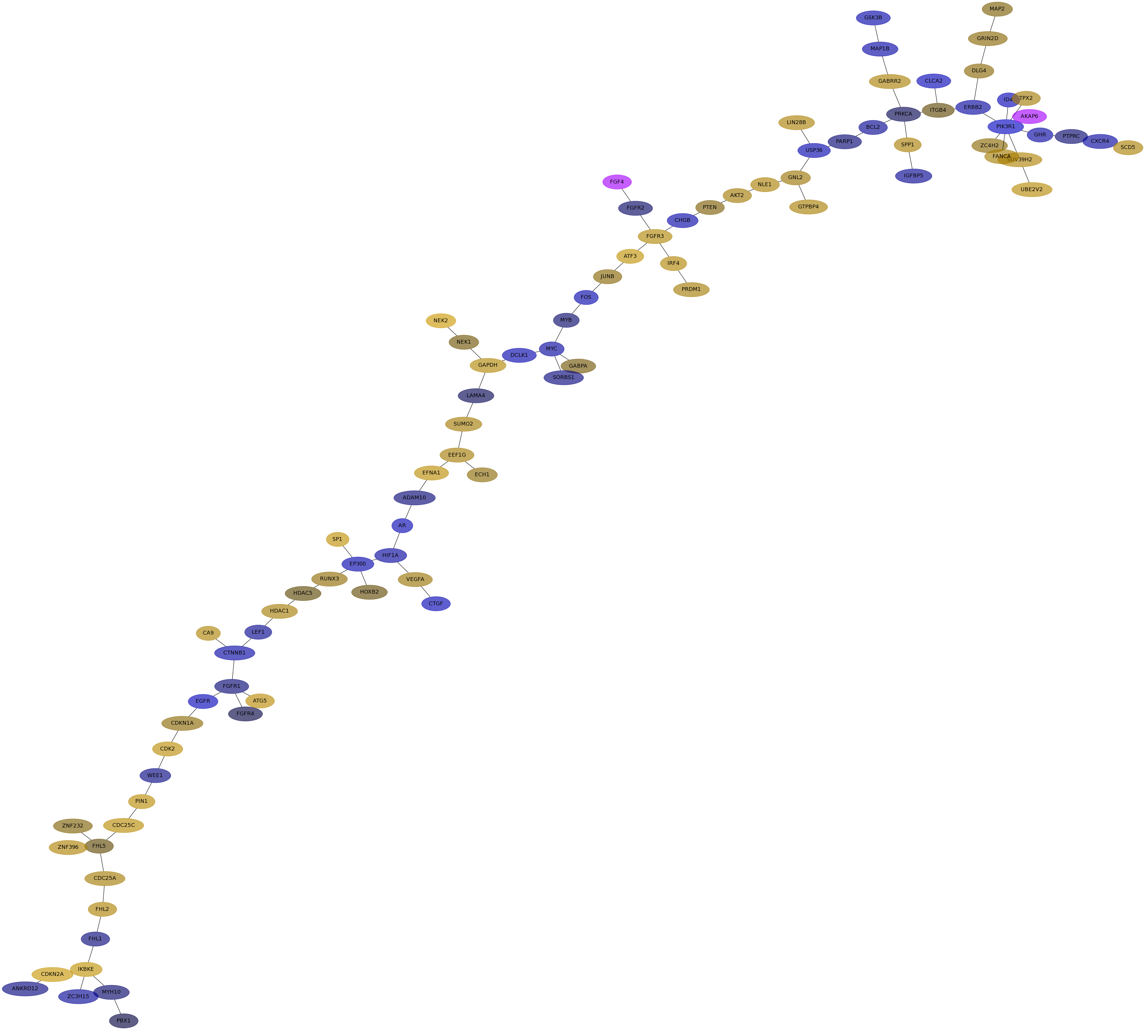 IPC
