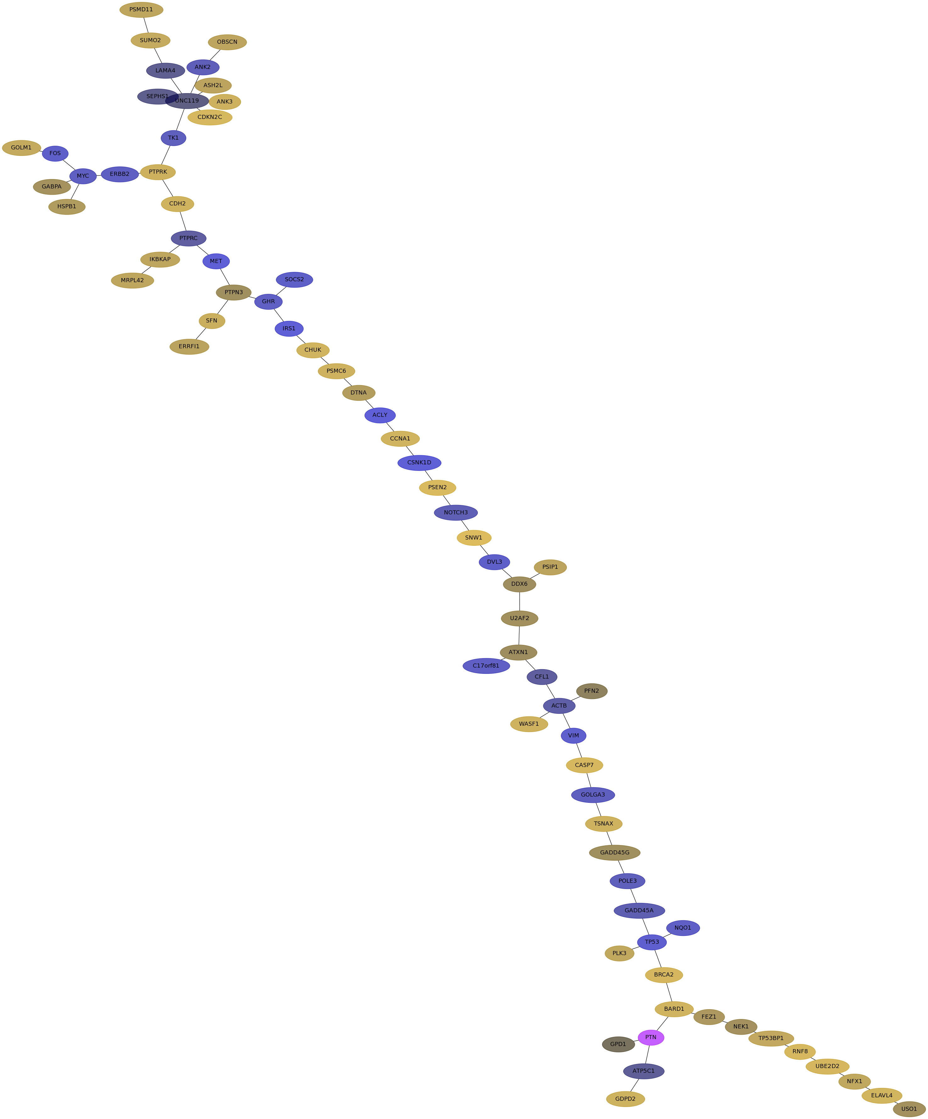 IPC