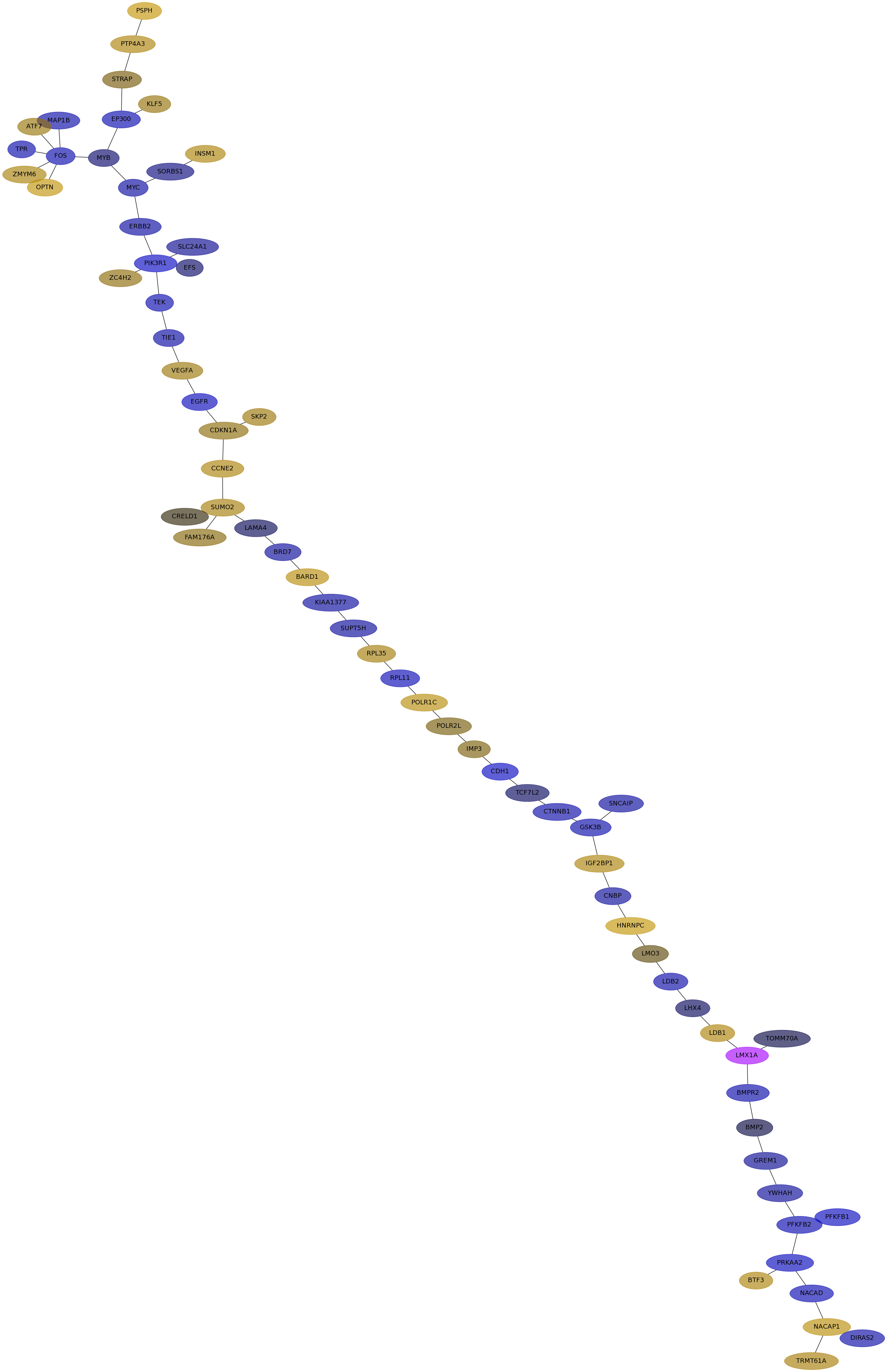IPC