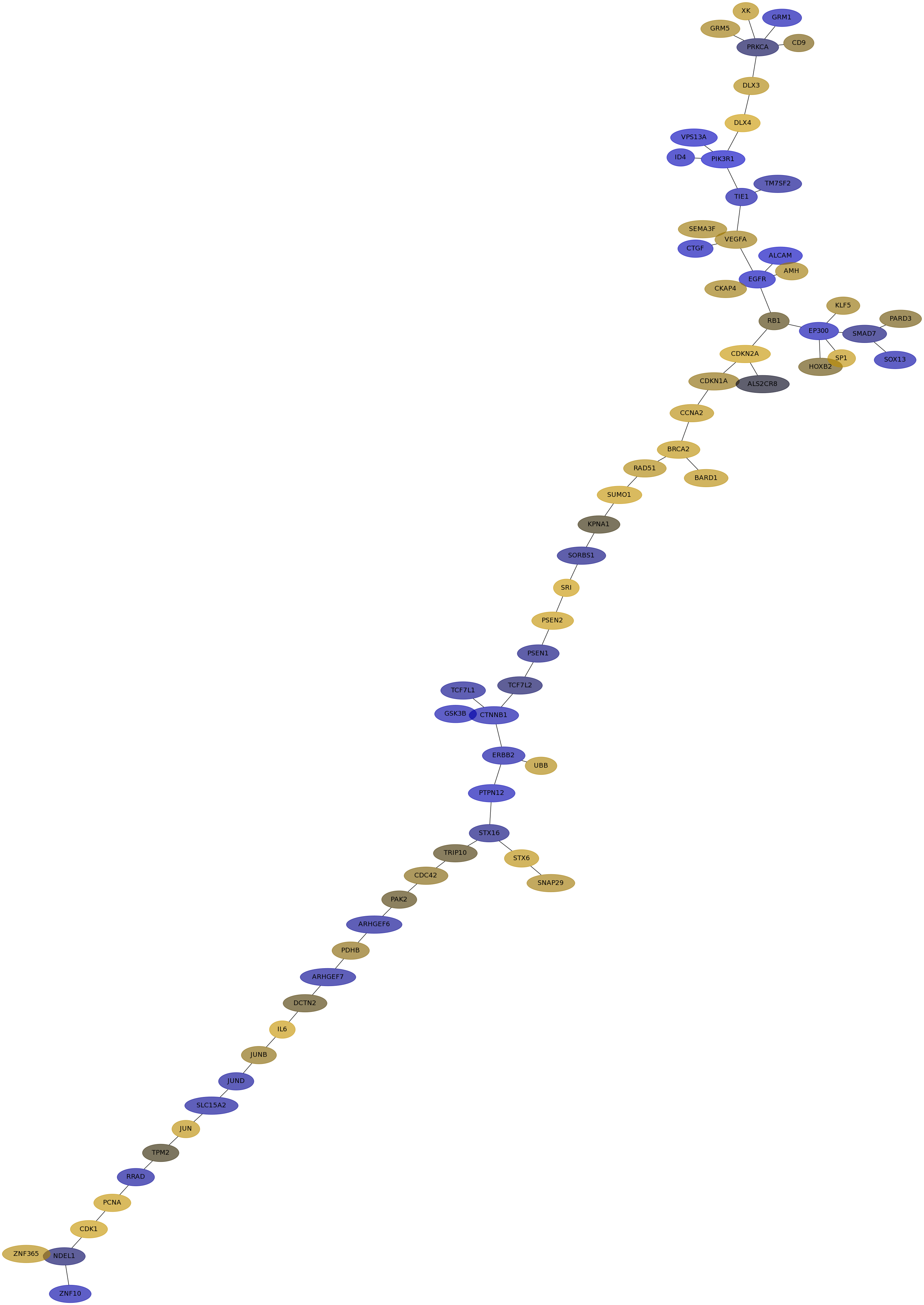 IPC