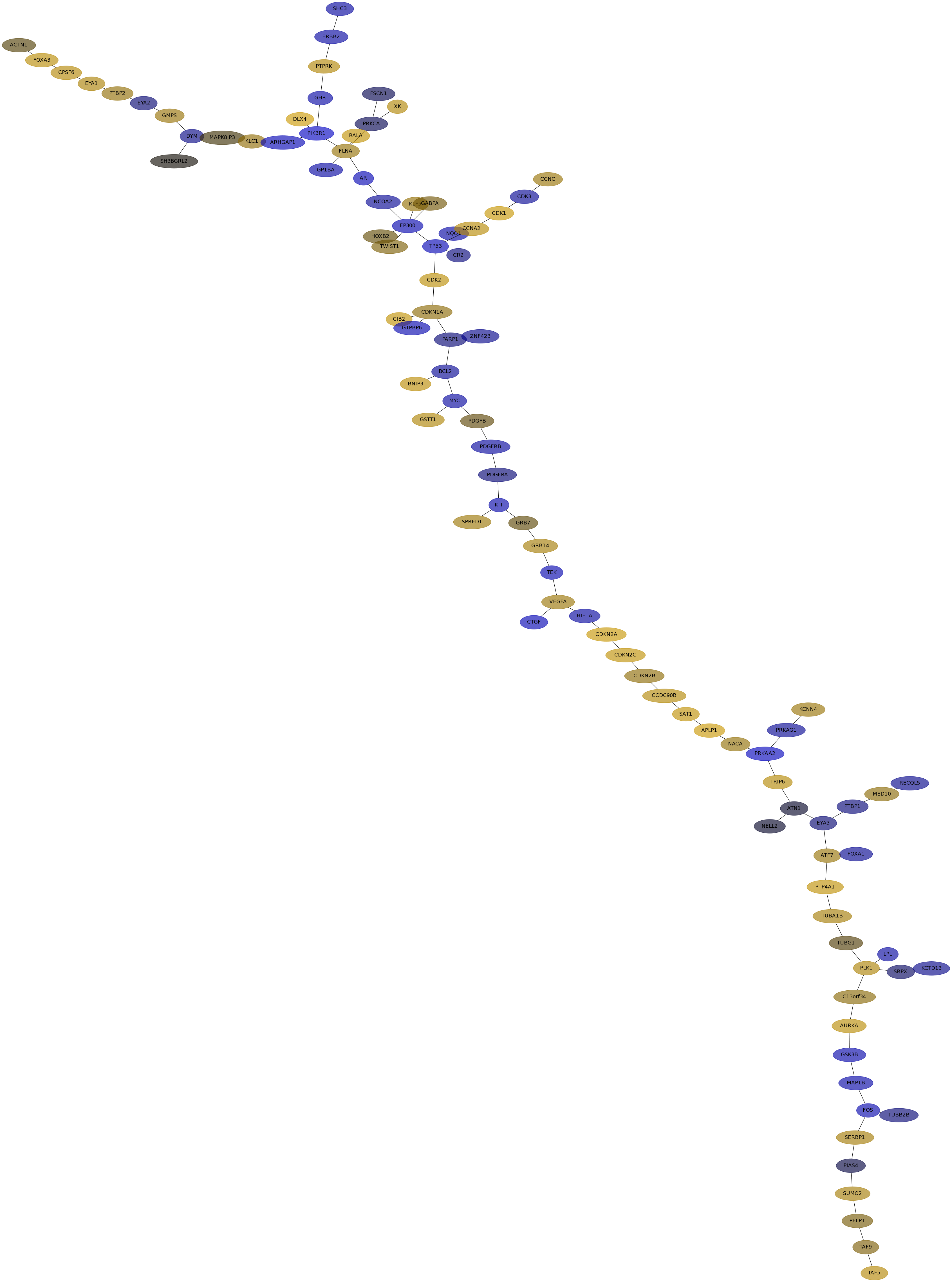 IPC